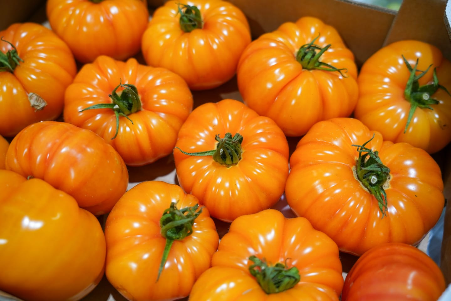 Tomater - mer än bara en råvara