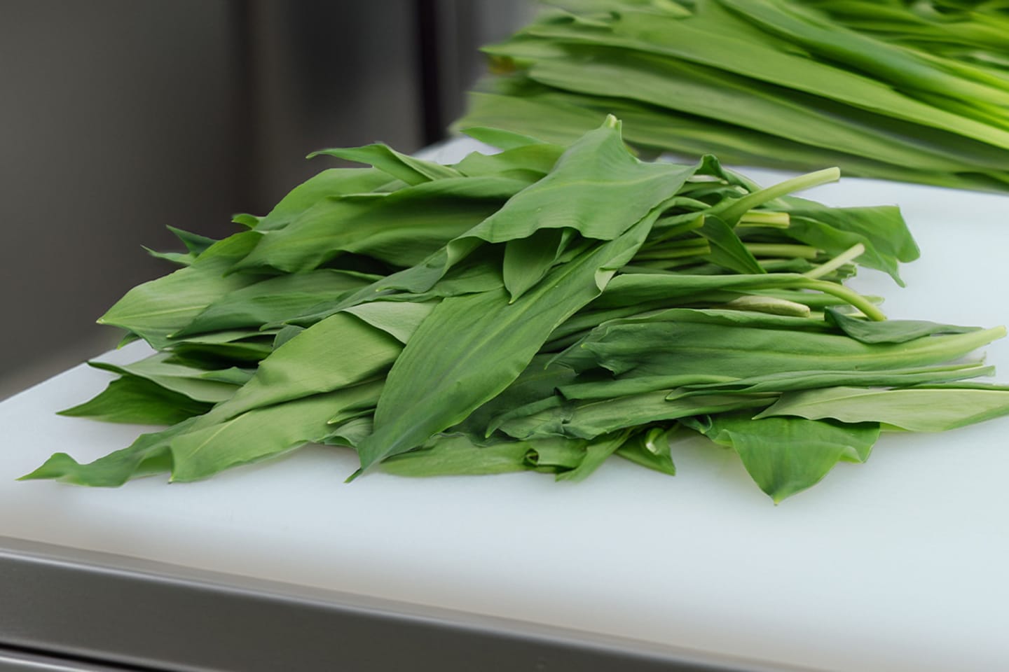 Ramslök – vildvuxen smakstart på våren