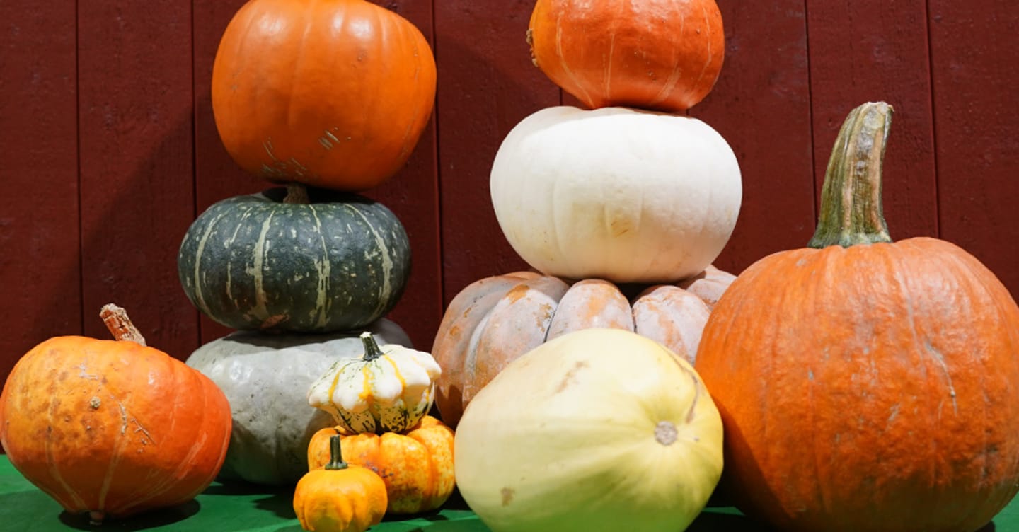 Pumpor