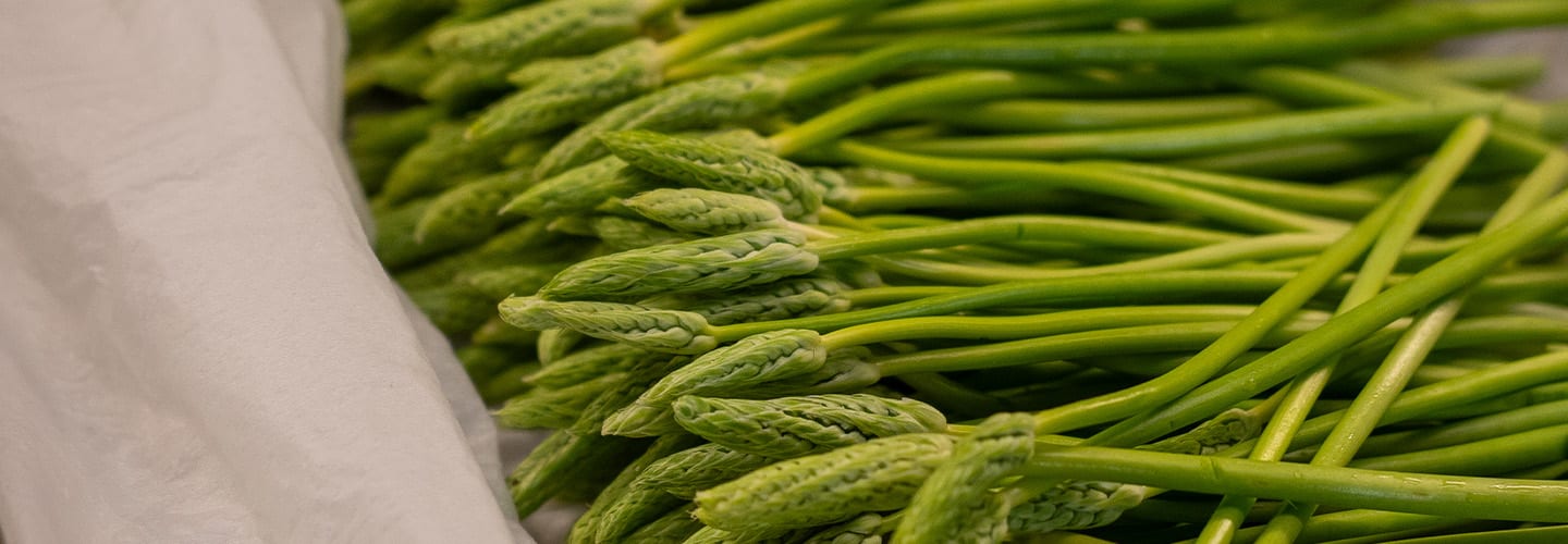 Välkommen till Grönsakshallen Sorunda!