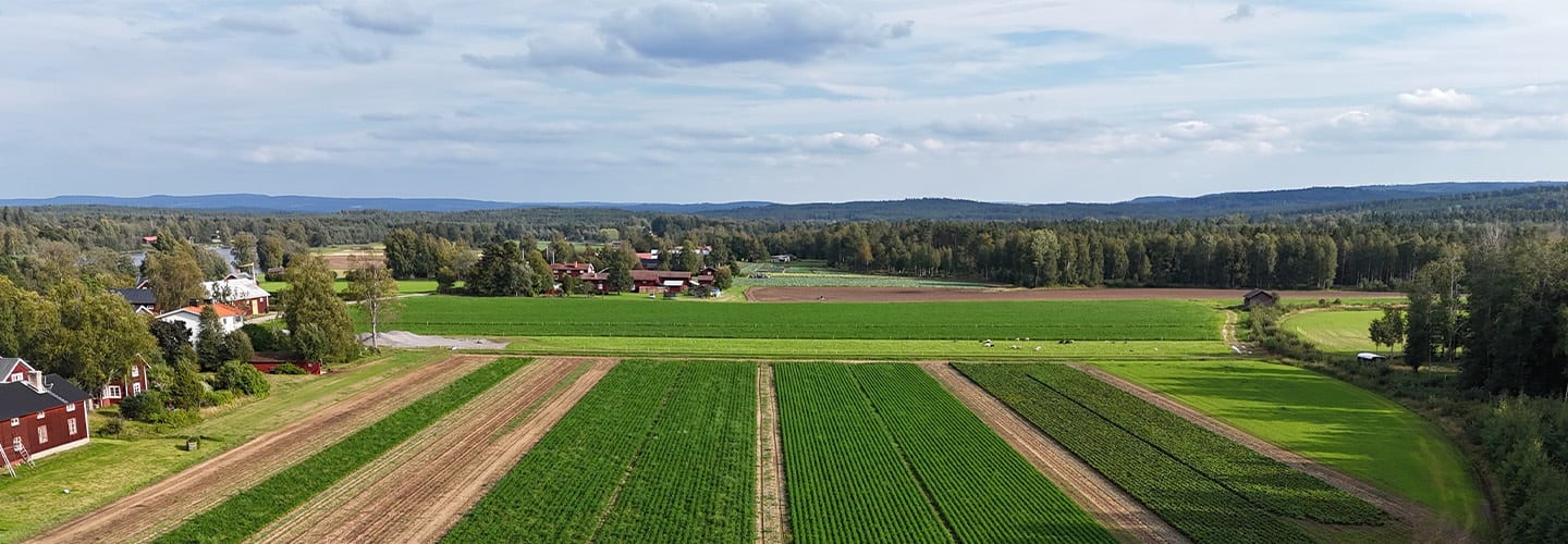 Wålstedts gård