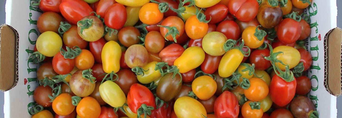 Karintorps tomater