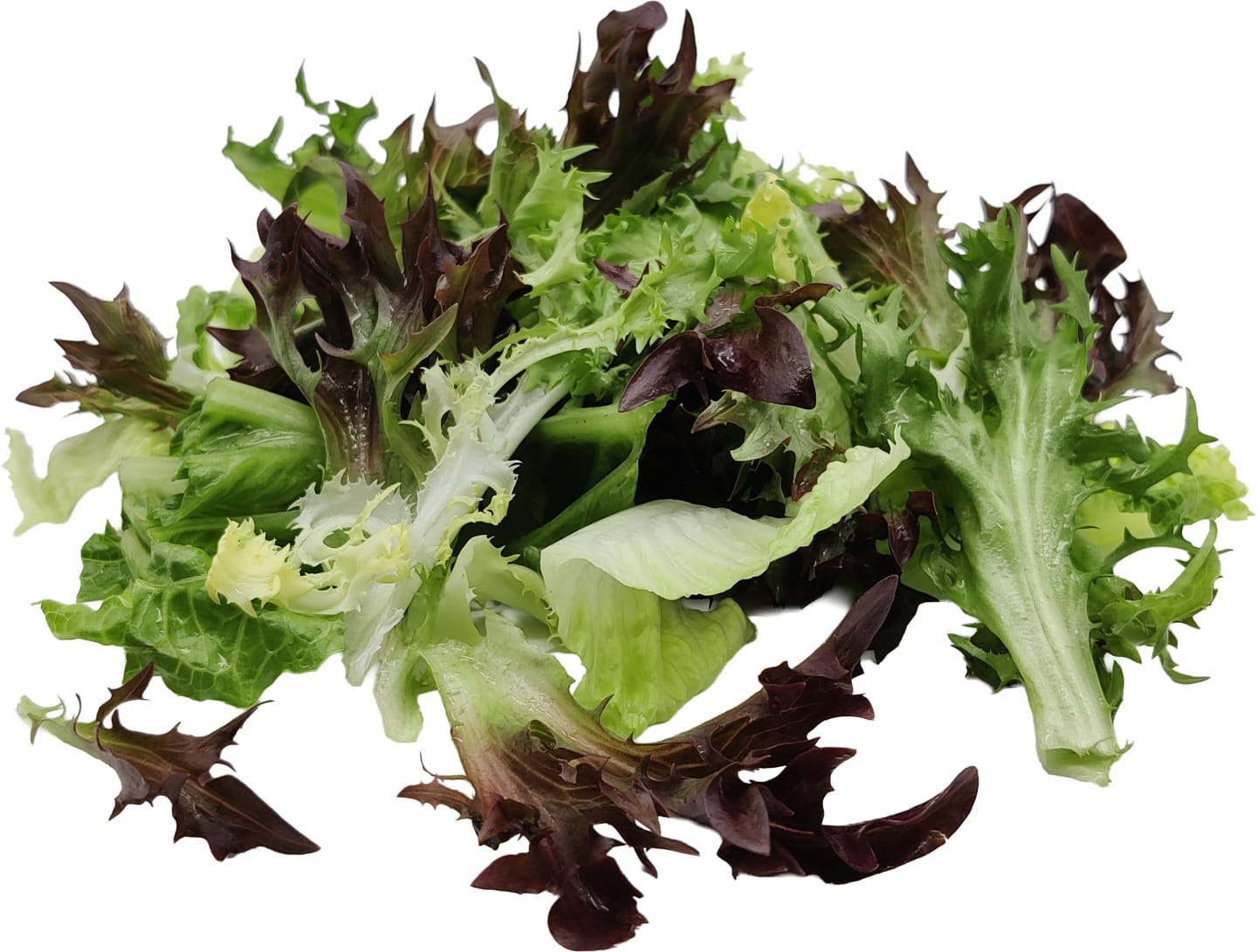 Sallad Brasserie 500g