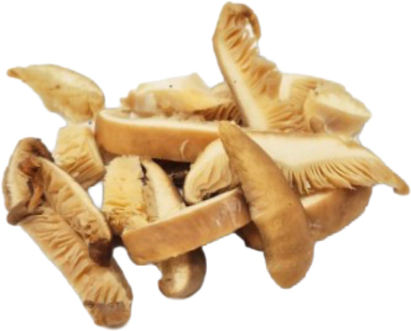 Ostronskivling skivad 6mm 1kg