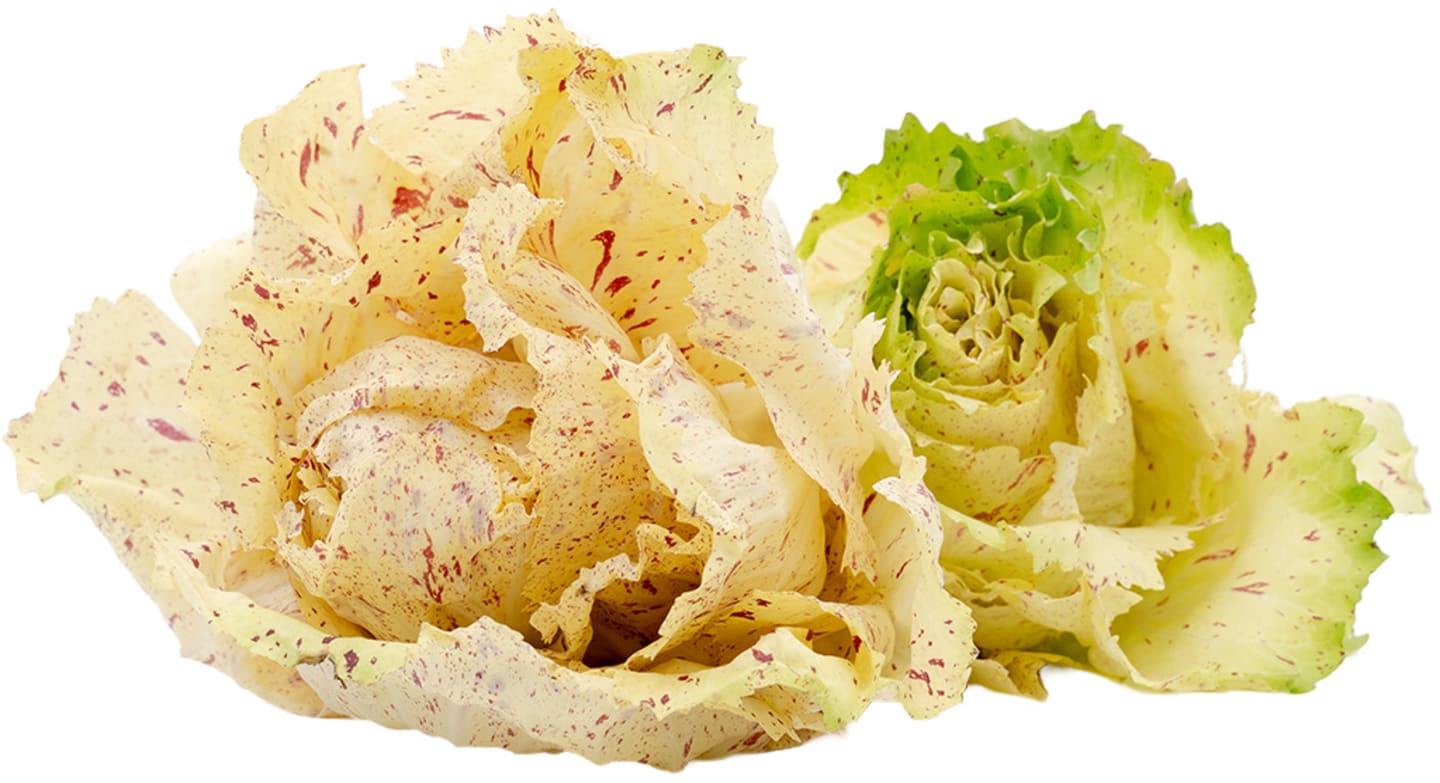 Sallad Castel Franco 3kg