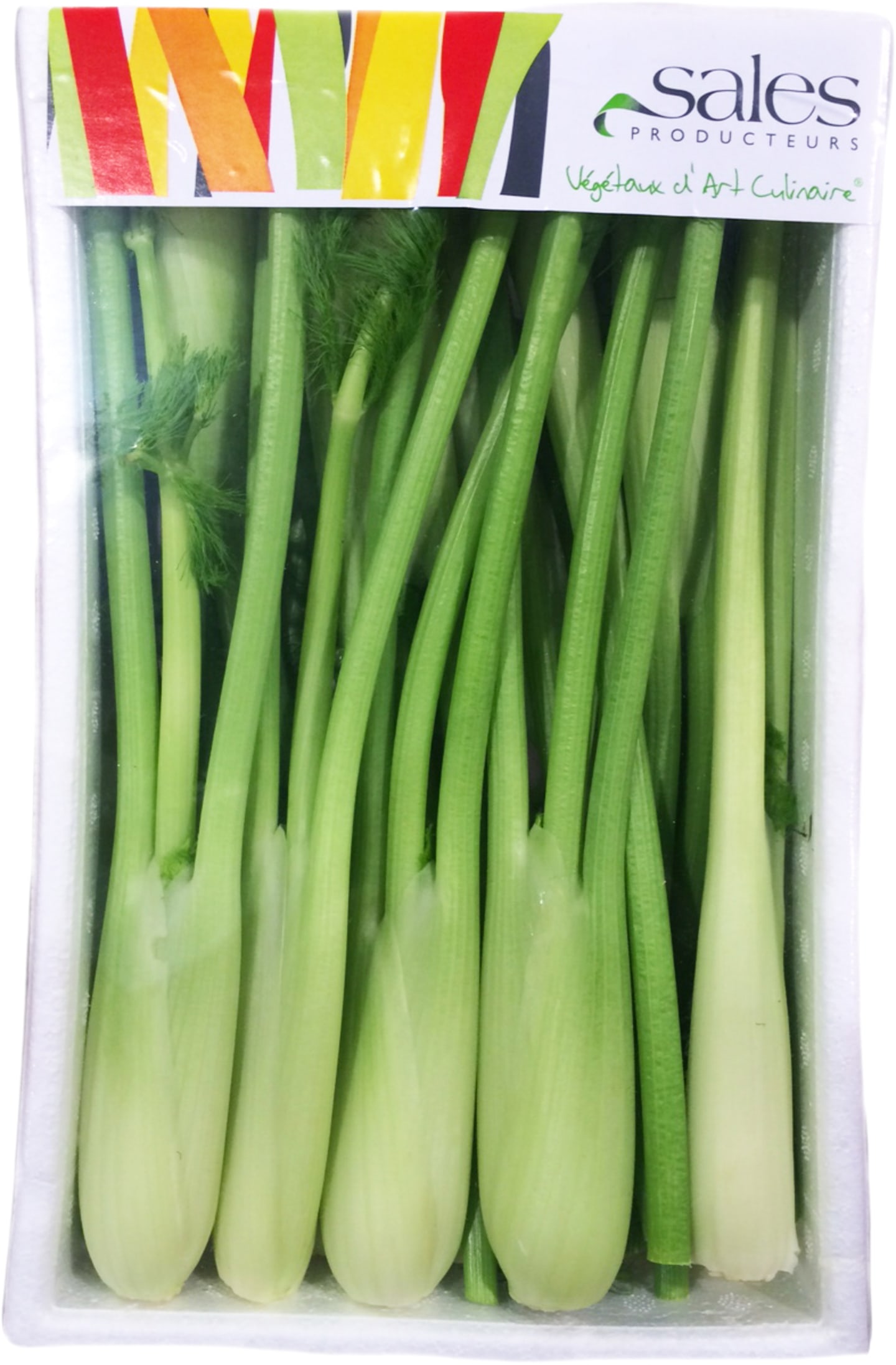 Fänkål mini 200g