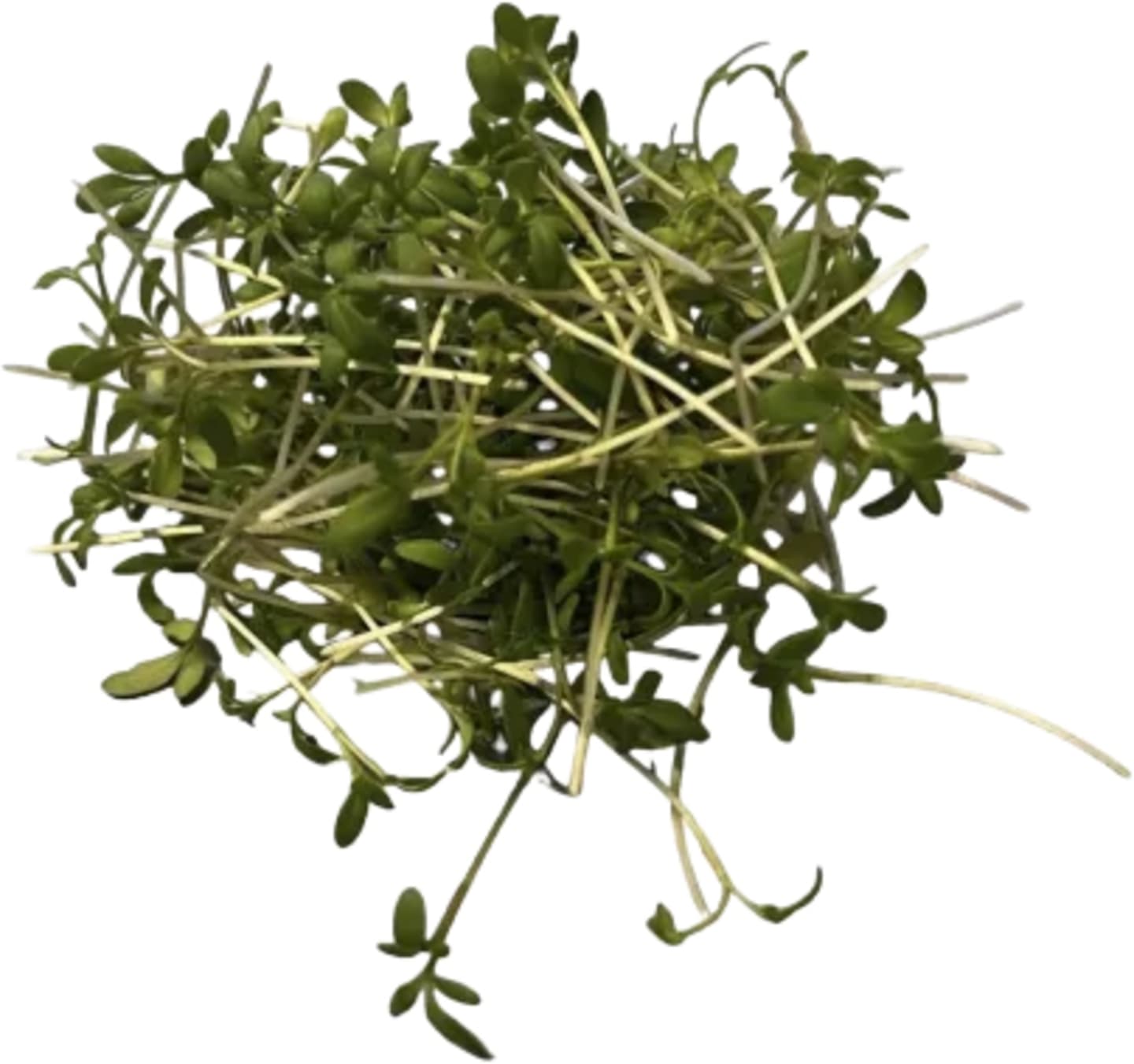 Smörgåskrasse klippt 45g