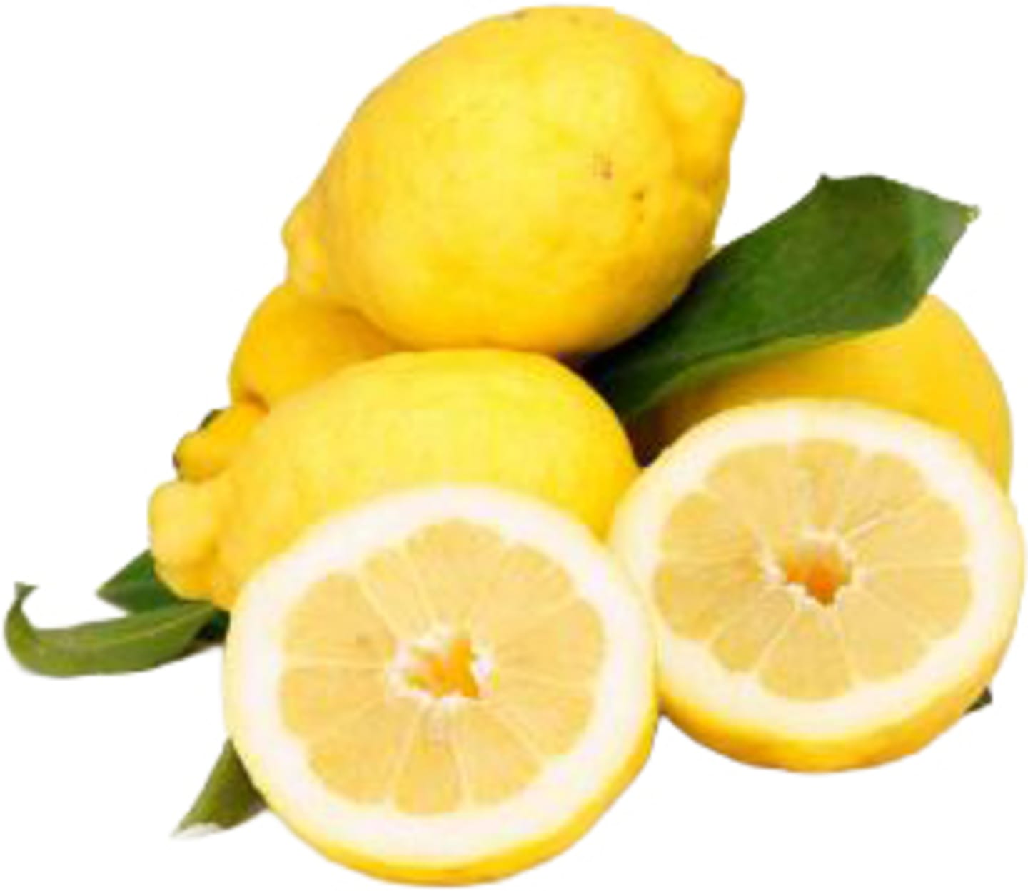 Citron med kvist och blad 5,6kg