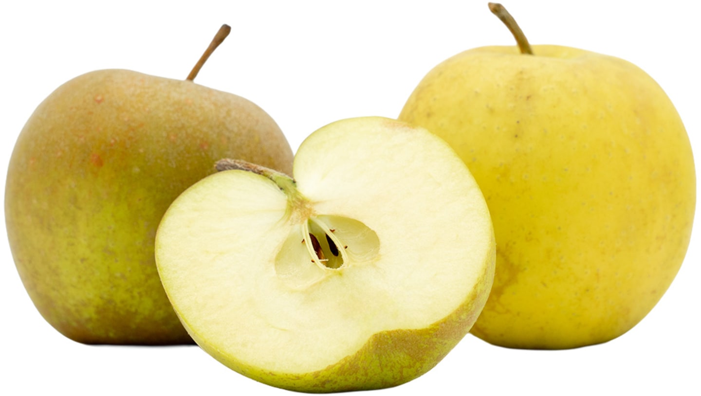 Äpple Belle De Boskoop ca11kg SE