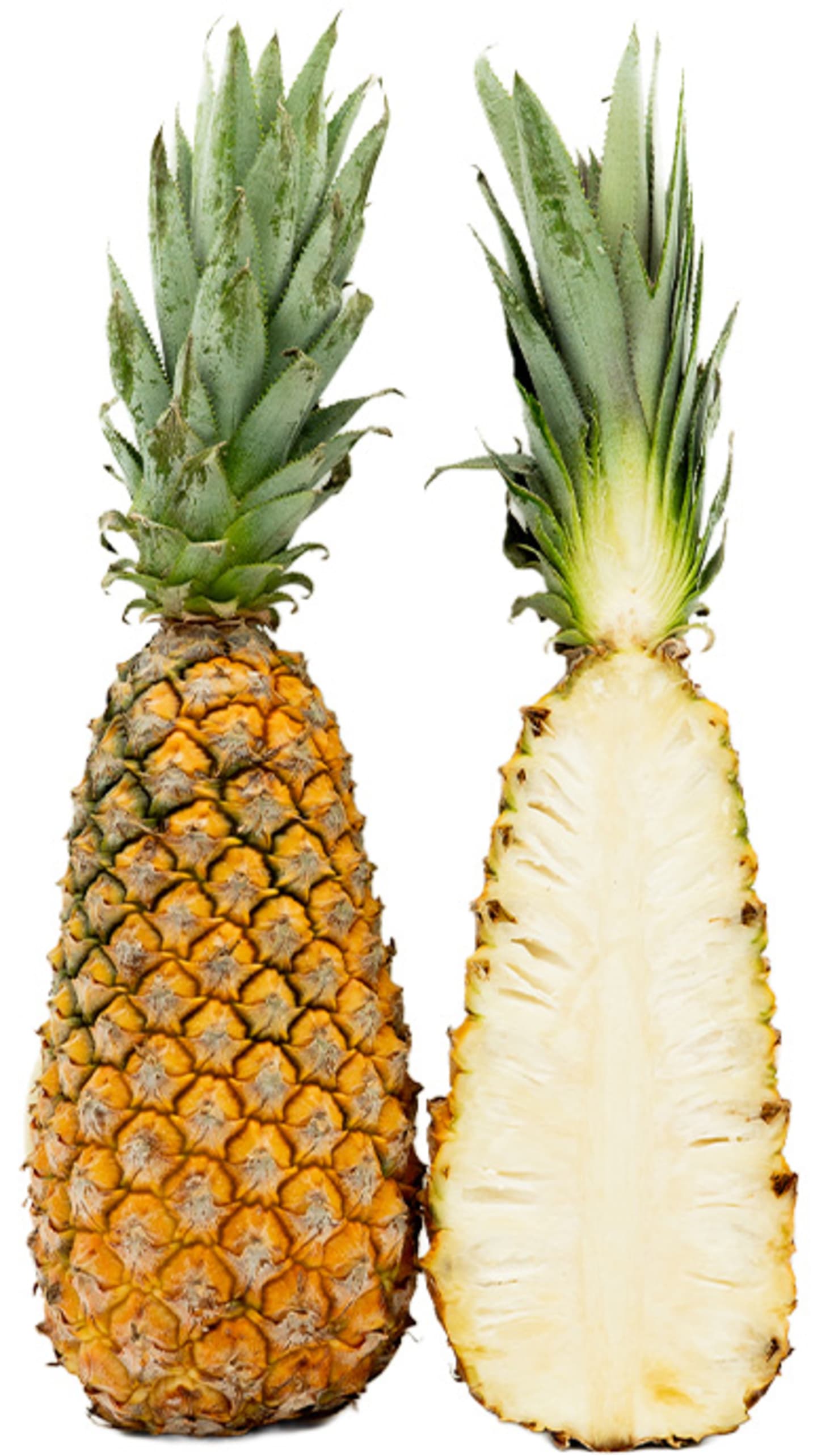 Ananas Pain de Sucre ca10st