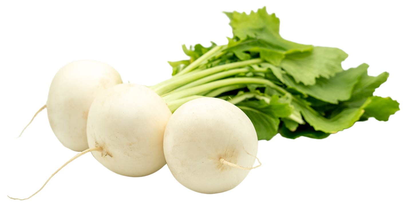 Majrova knippe 10knp