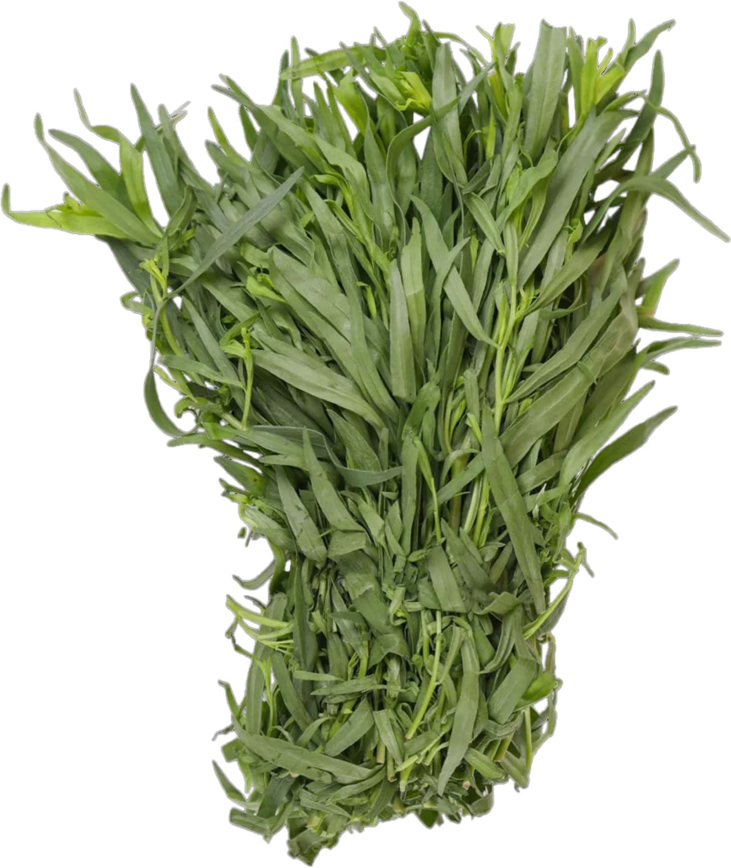 Dragon 100g - Bild 1 av 1