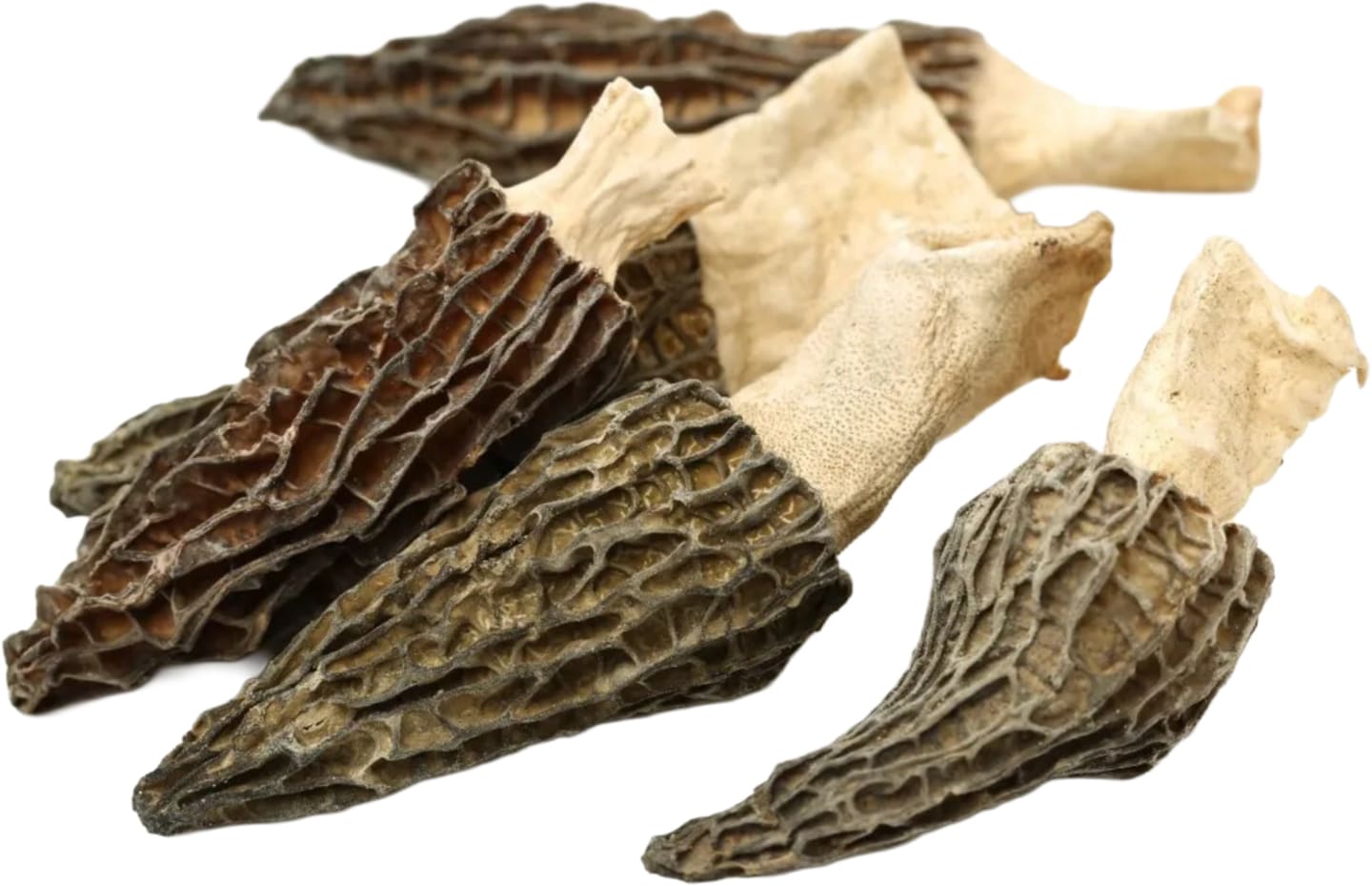 Svamp Toppmurkla torkad 1kg