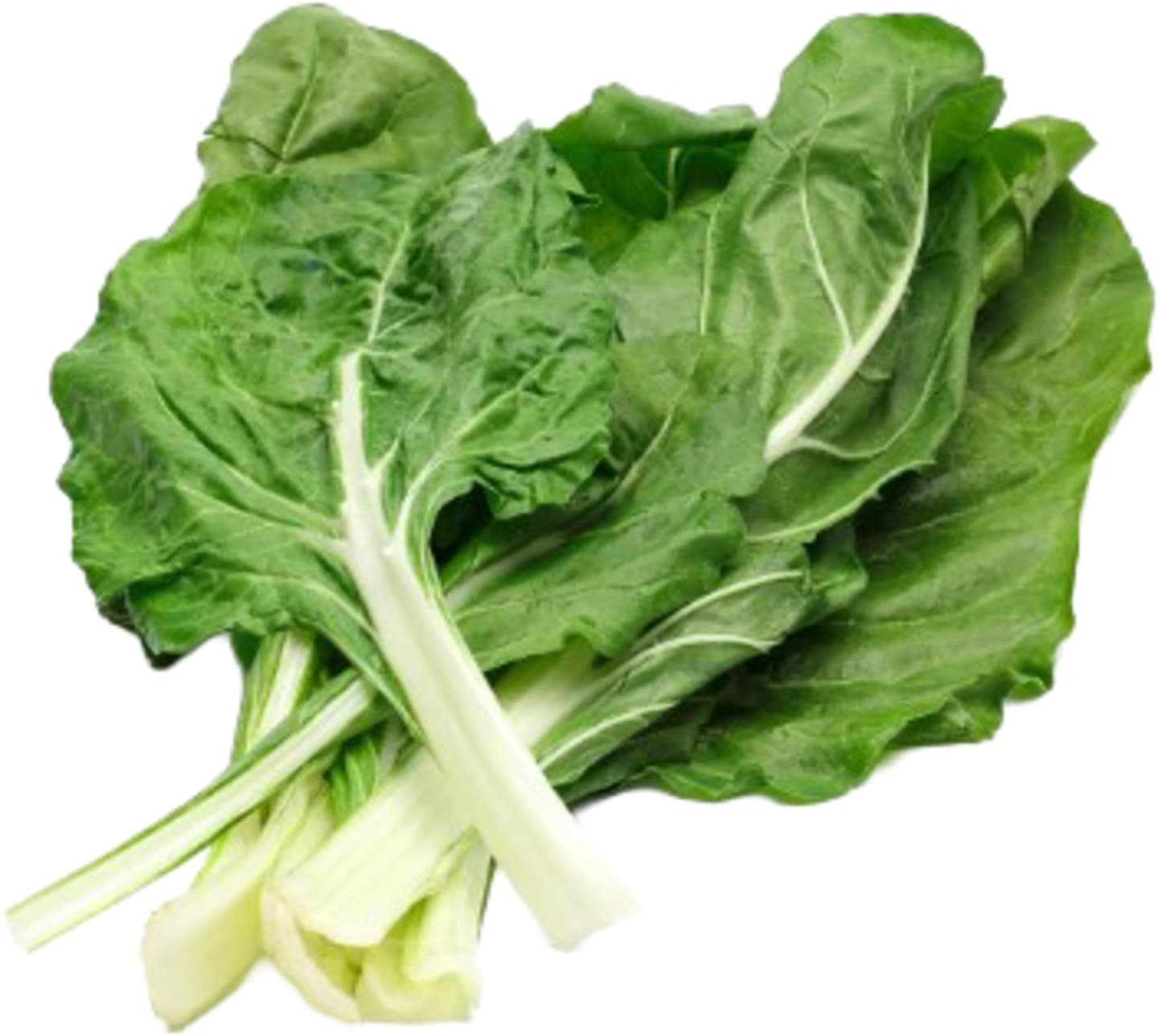 Mangold i knippe 12knp