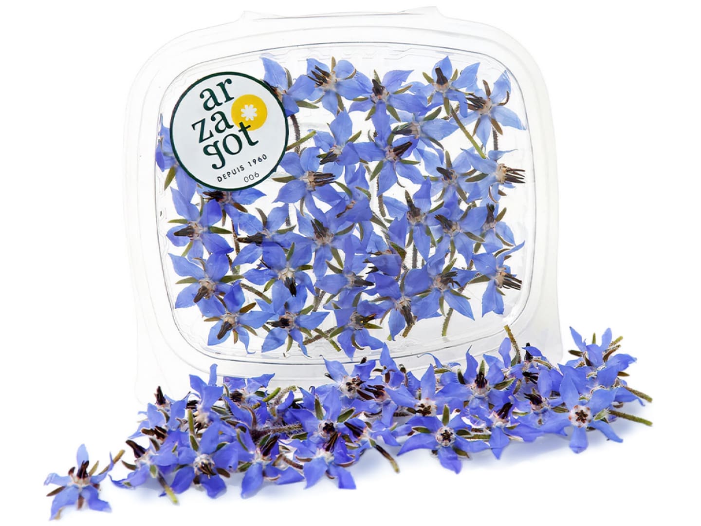 Gurkörtsblomma ätlig 5g