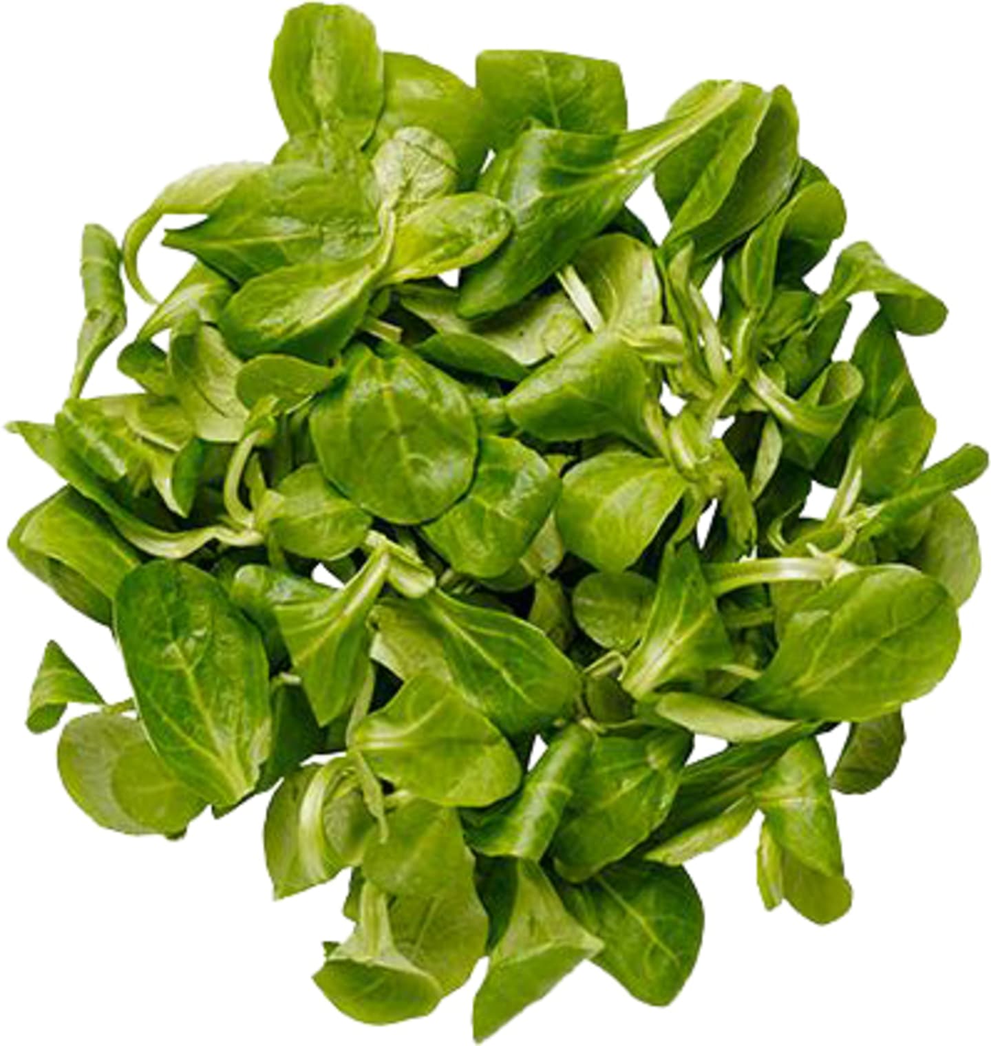 Machésallad CC 200g