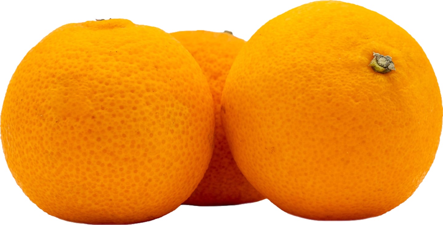 Clementin EKO 6kg