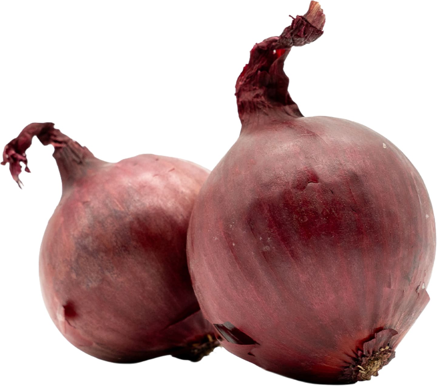Rödlök EKO 10kg