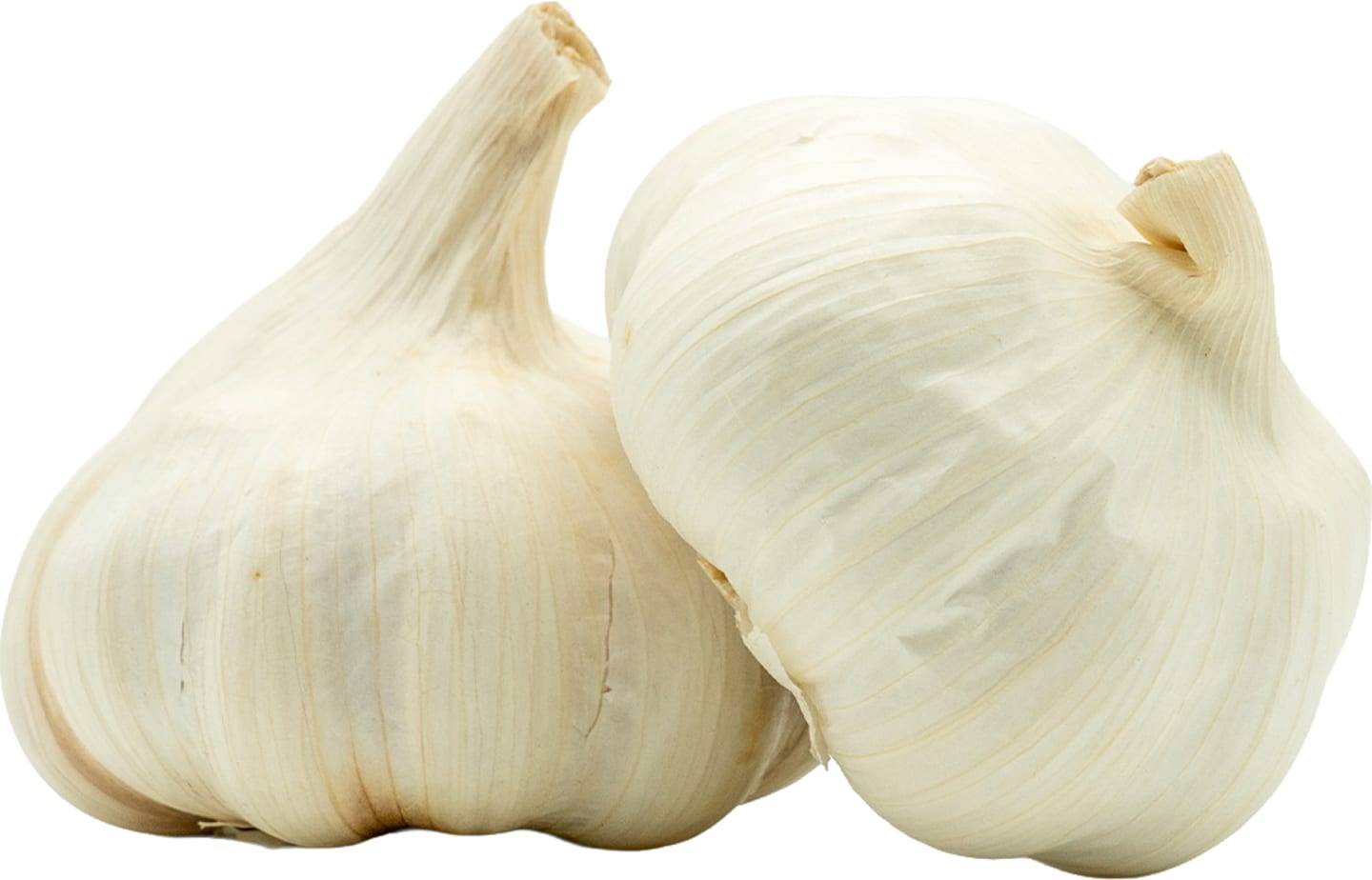 Vitlök EKO 10kg