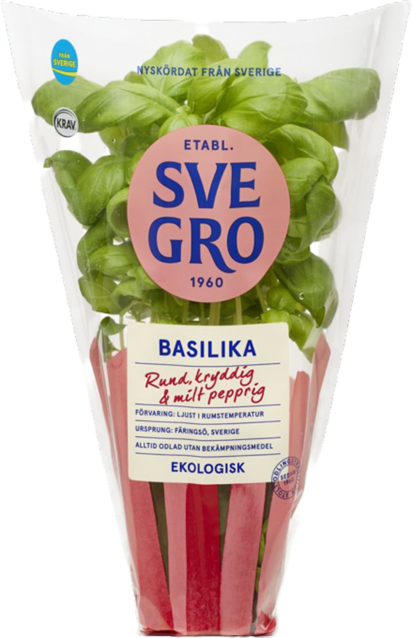 Basilika grov EKO 6st