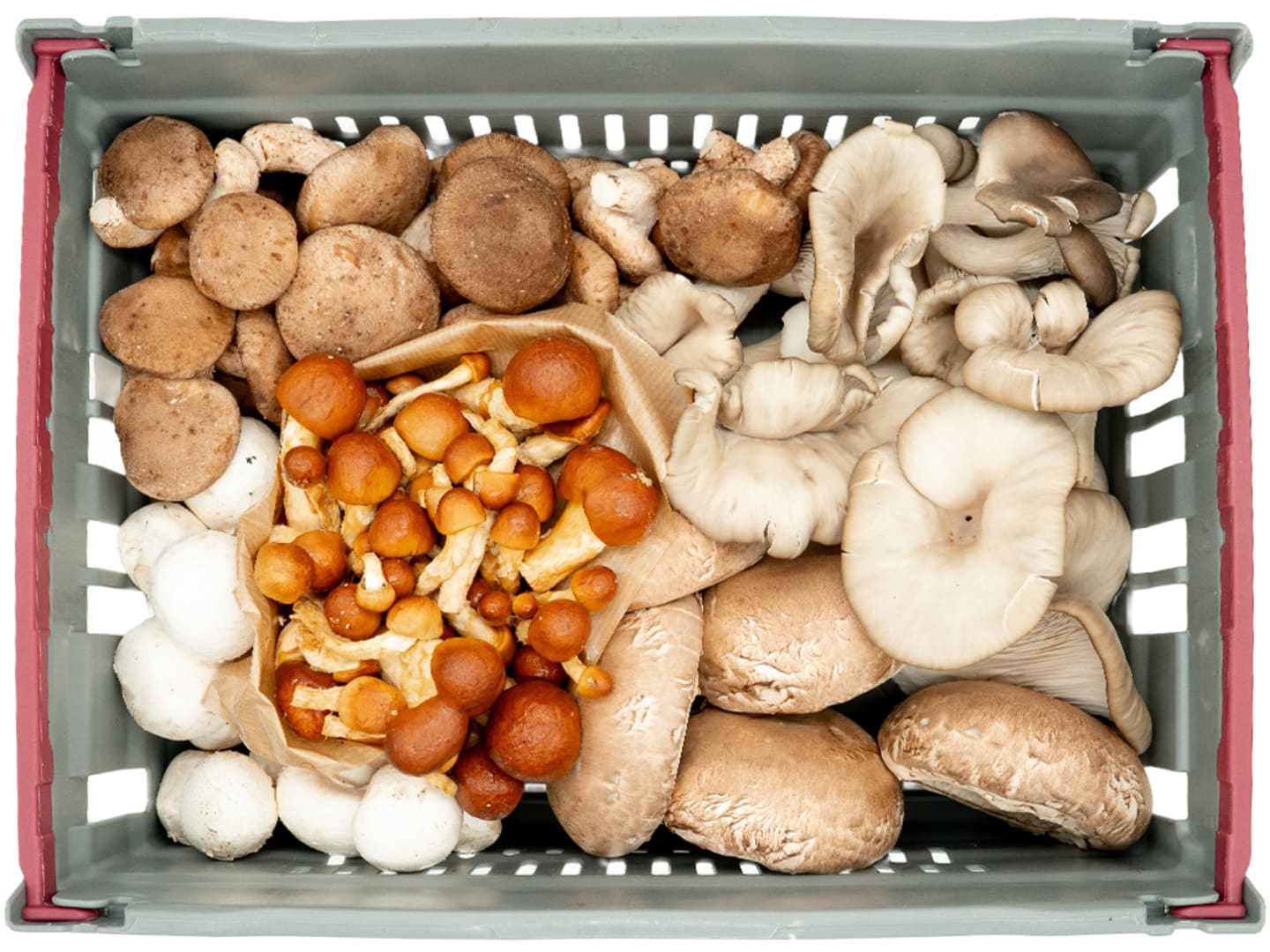 Svamp mixlåda EKO 2,3kg
