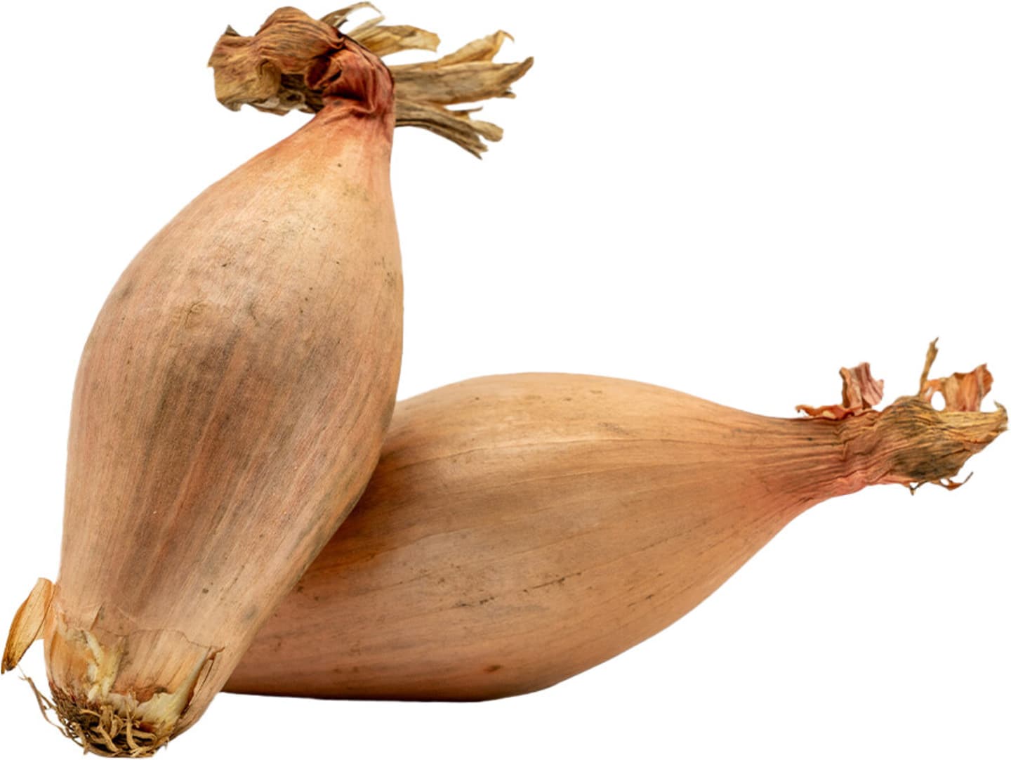 Bananschalottenlök 6kg SE