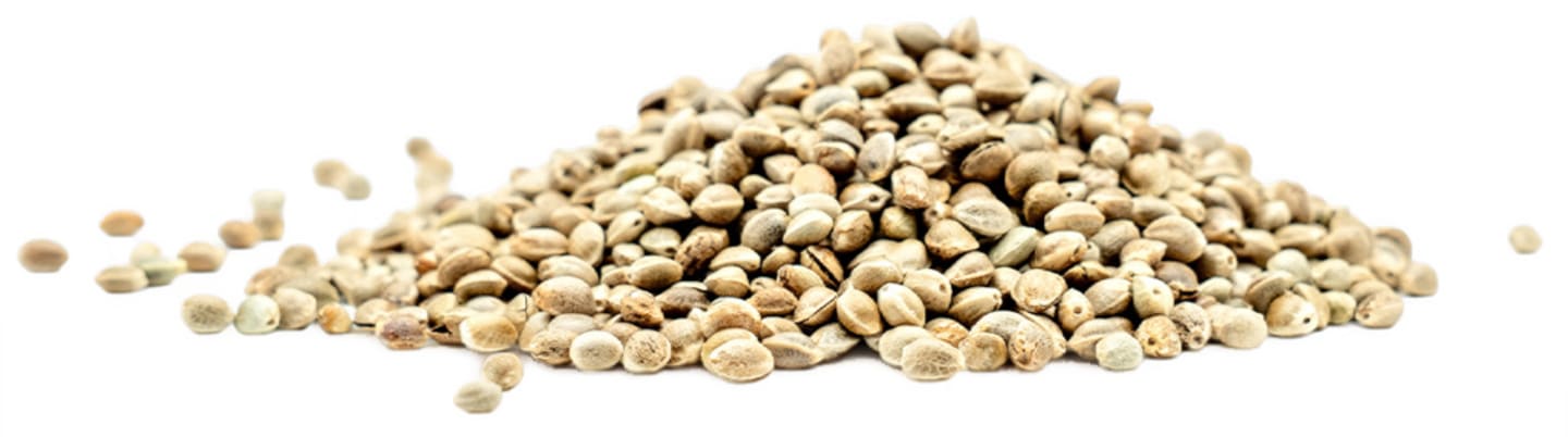 Hampafrön oskalade naturella 2kg