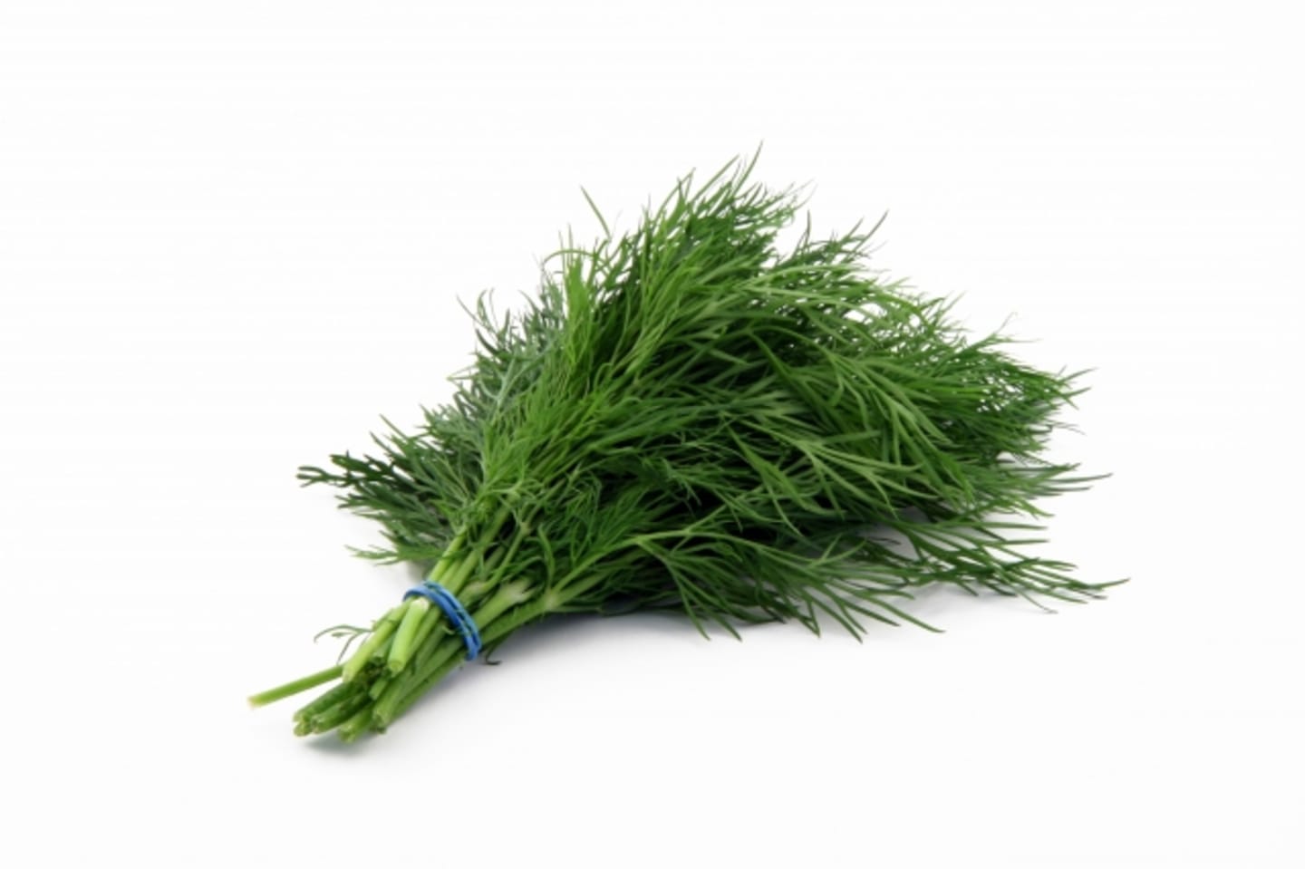 Dill 250g Picked