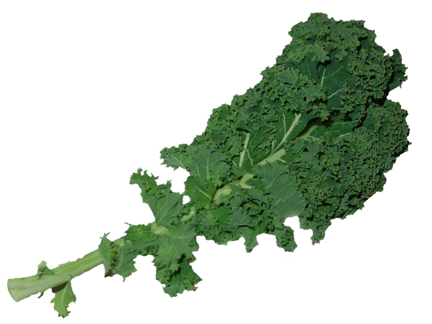 Grönkål lösvikt ca10kg SE