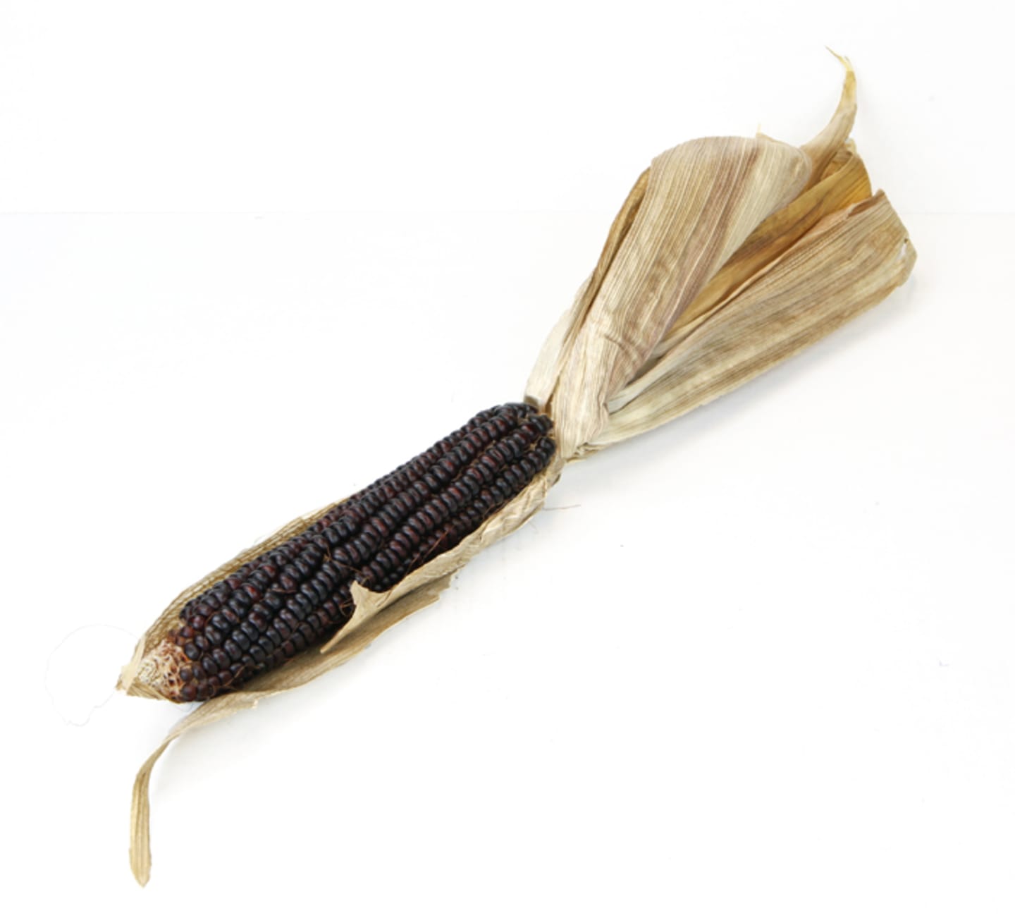 Majskolv torkade Indian Corn 24st