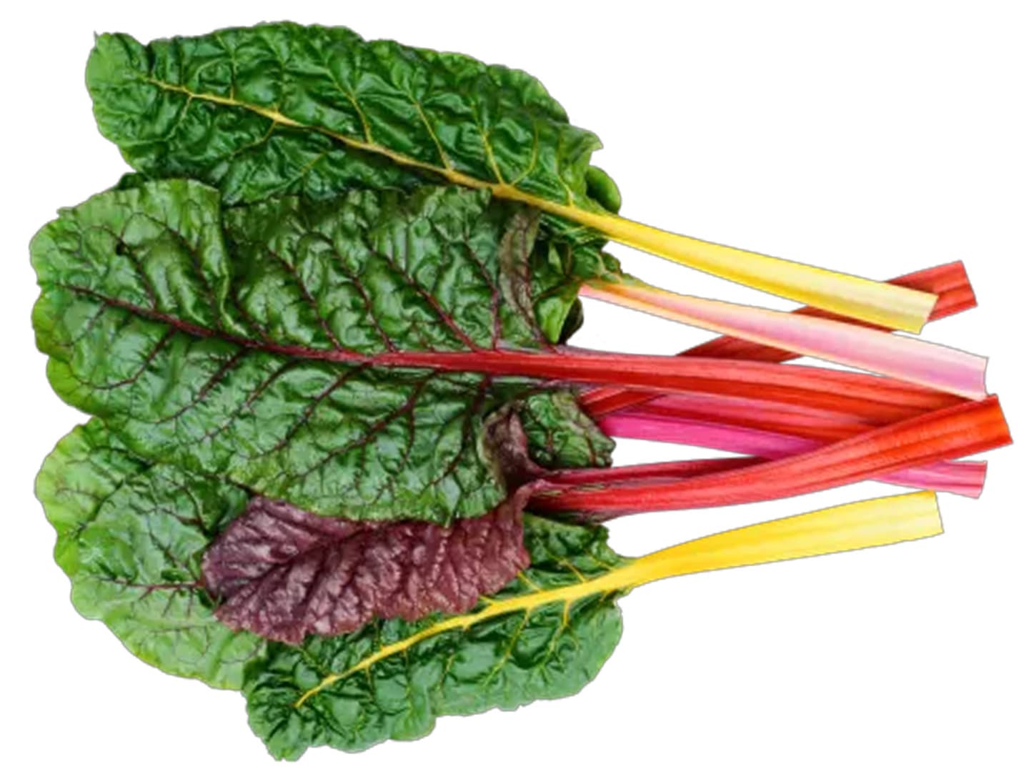 Mangold mixfärg 5kg