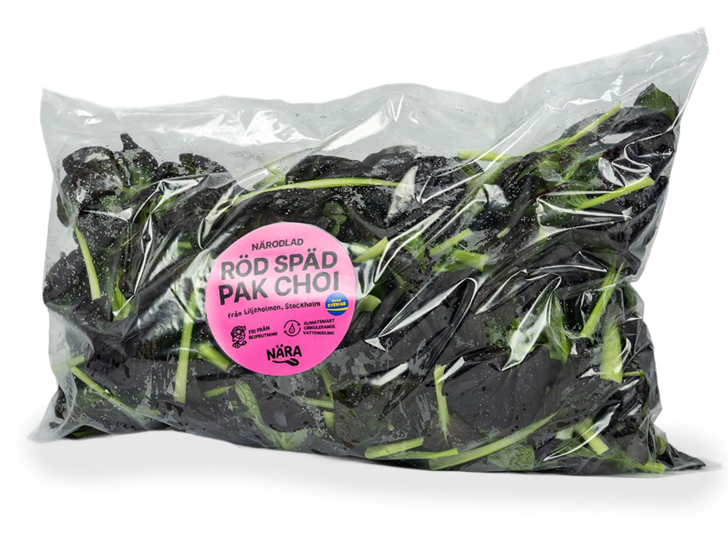 Pak Choi röd späd 500g