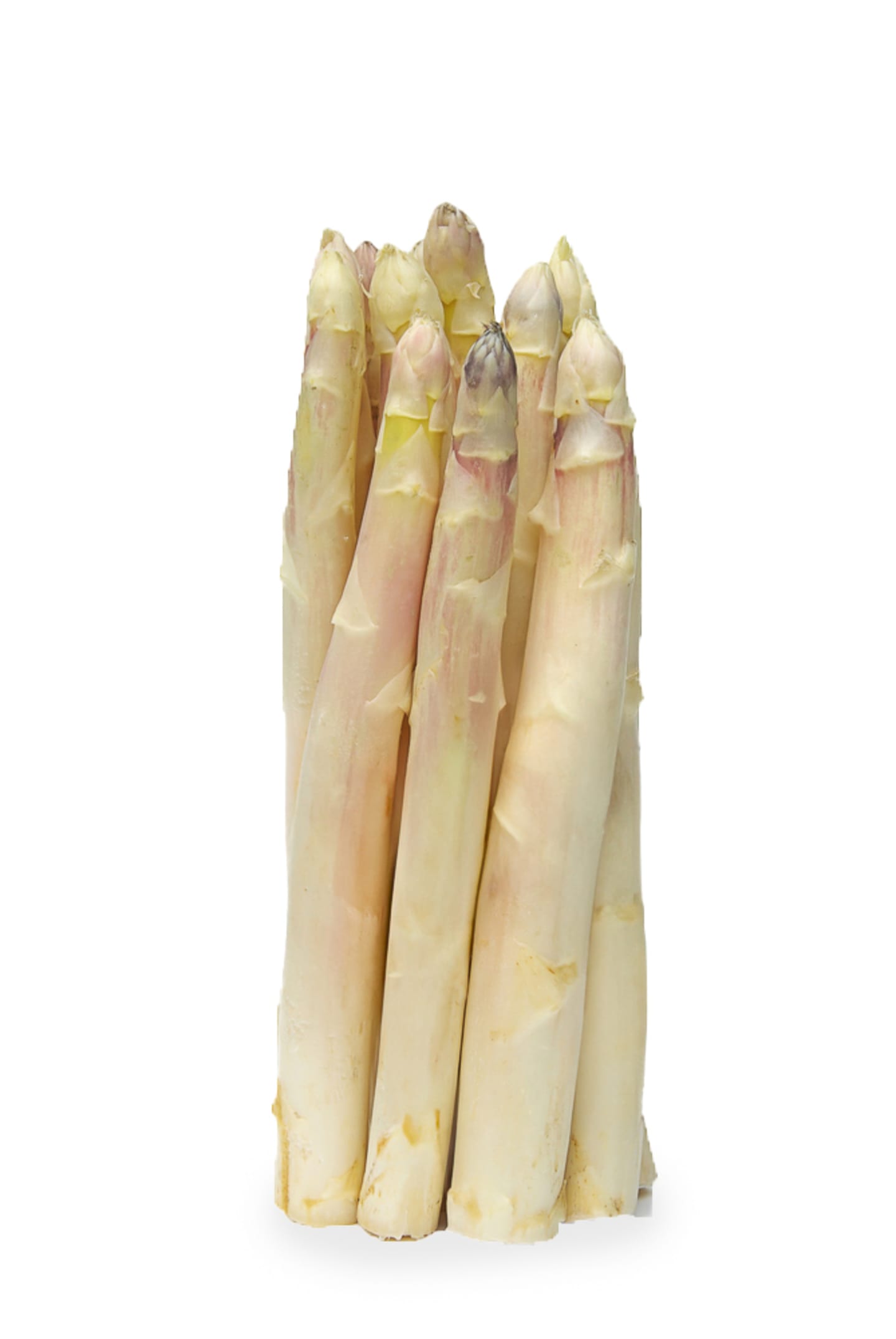 Sparris vit AA 5kg NL