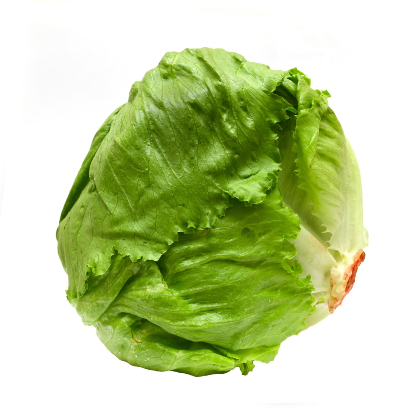 Isbergssallad ca5,5kg