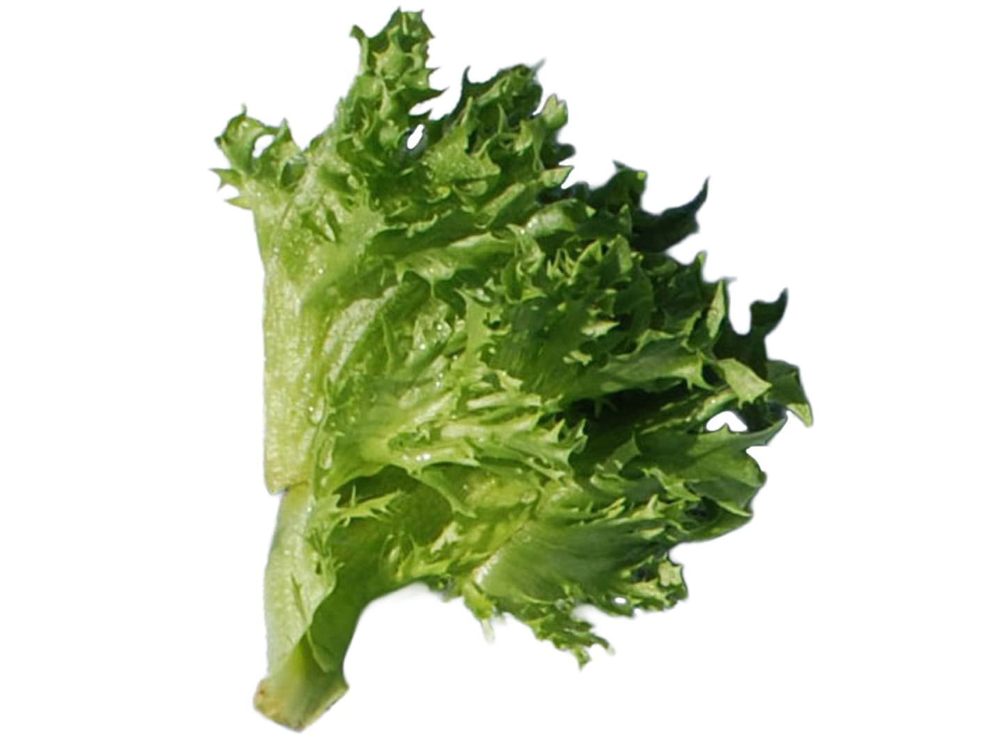 Frillicesallad krisp ca12st