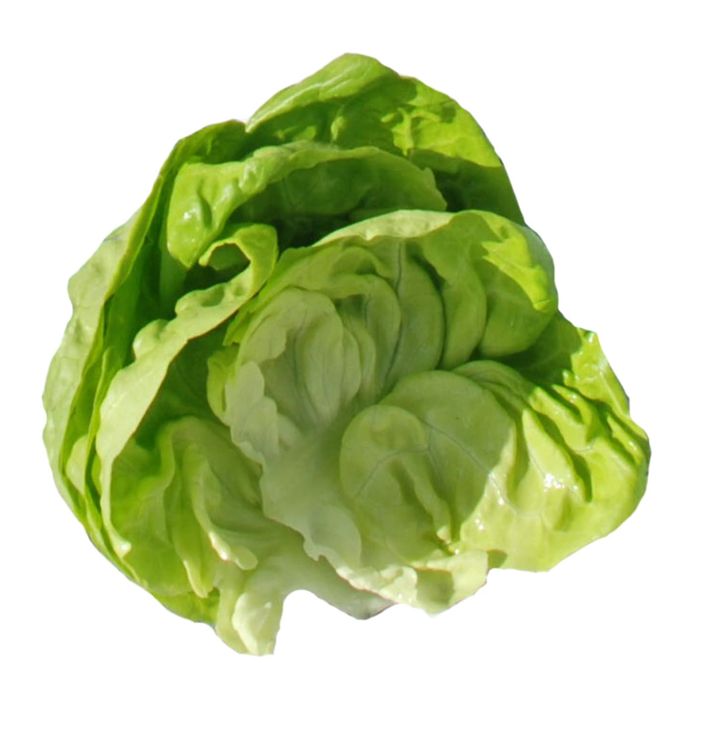 Grönsallad 12st - Bild 1 av 1