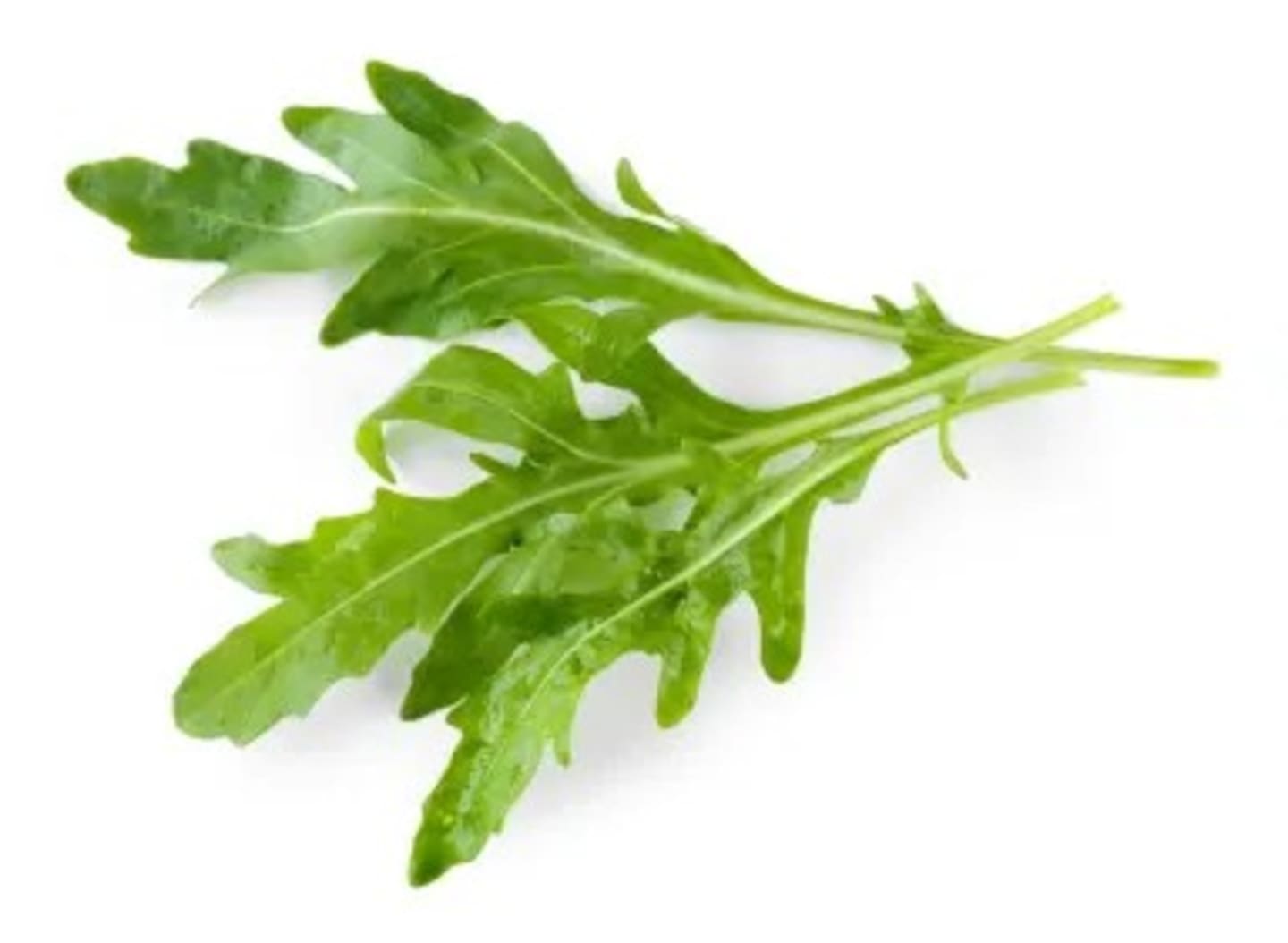 Rucola 50g