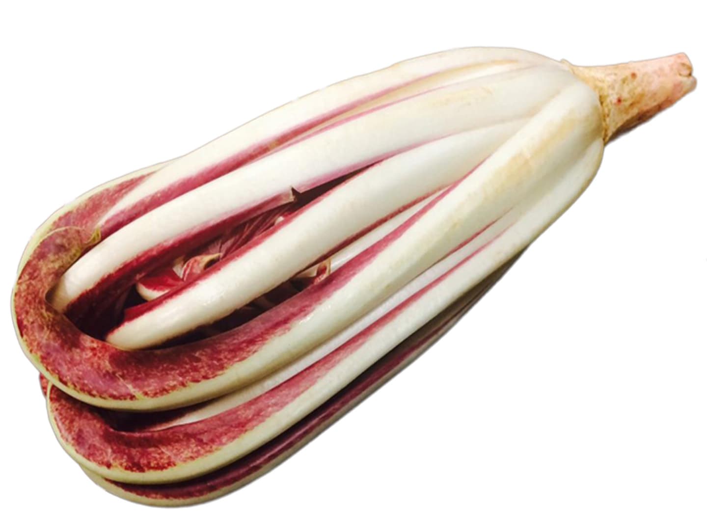 Sallad Radicchio Tardivo 5-6kg - Bild 1 av 1