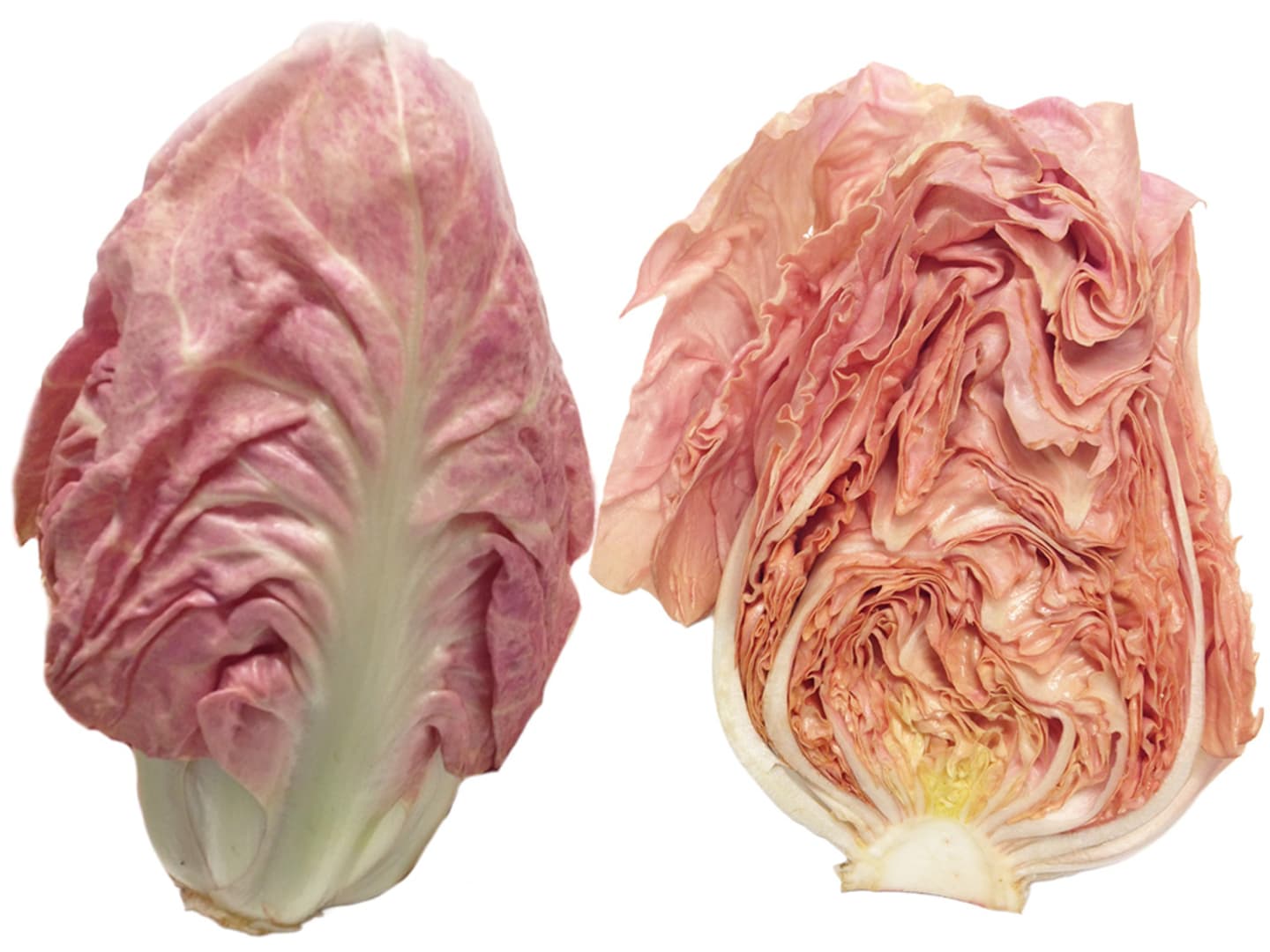 Sallad Radicchio rosa 3kg - Bild 1 av 1