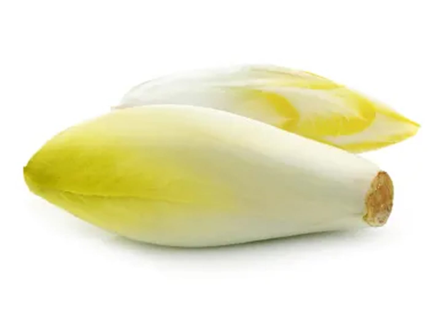 Endivesallad Chiconette 2,4kg