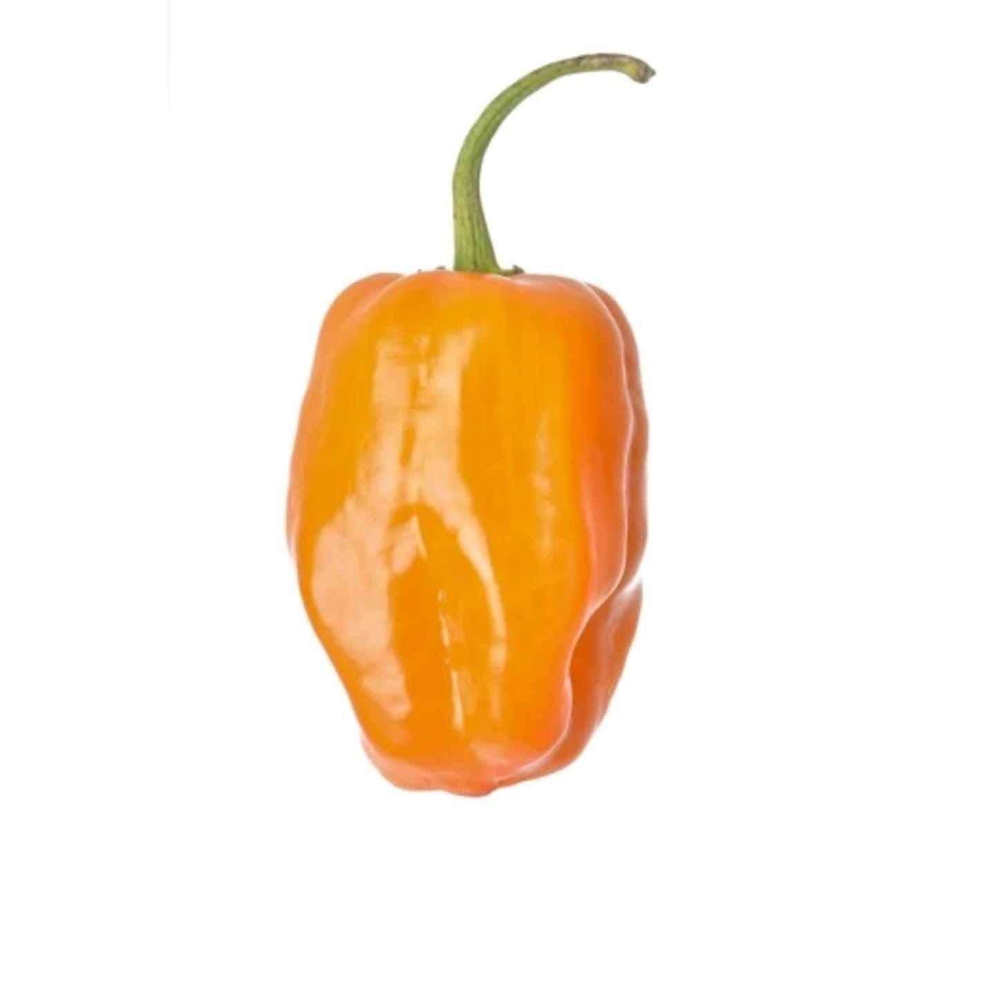 Chili Habanero gul 2kg