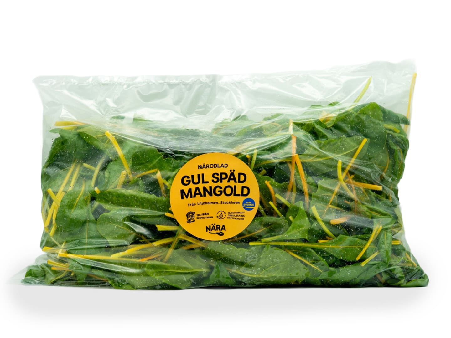 Mangold gul späd 500g