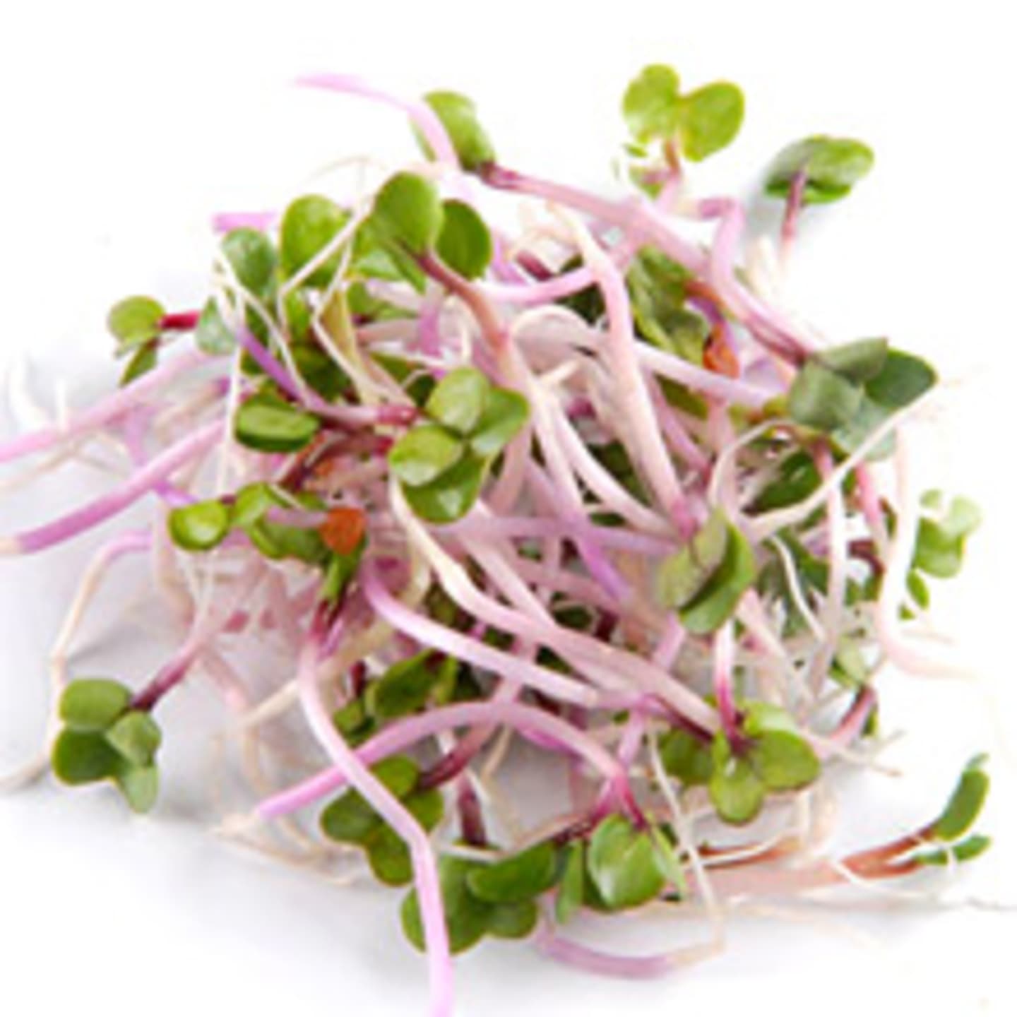China Rose groddar KRAV 50g