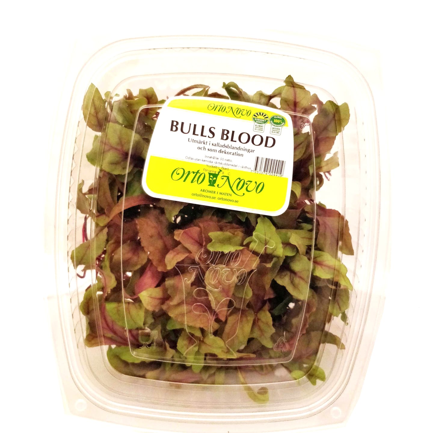Mangoldskott Bulls Blood 50g