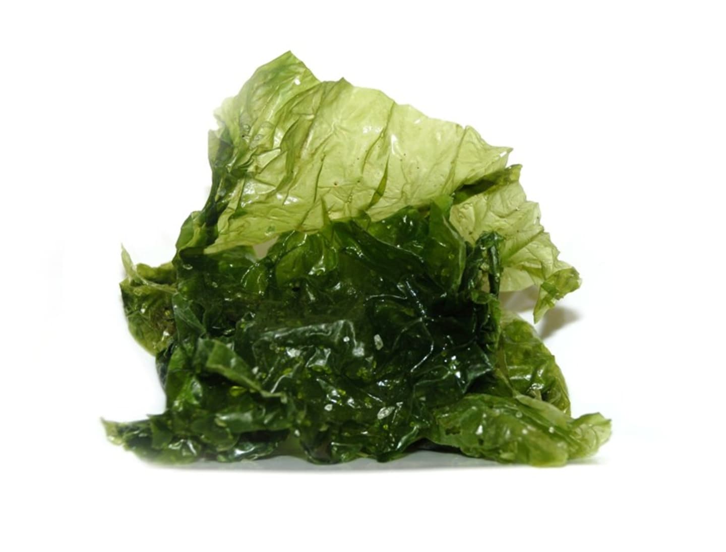 Alger laitue de mer green 1kg