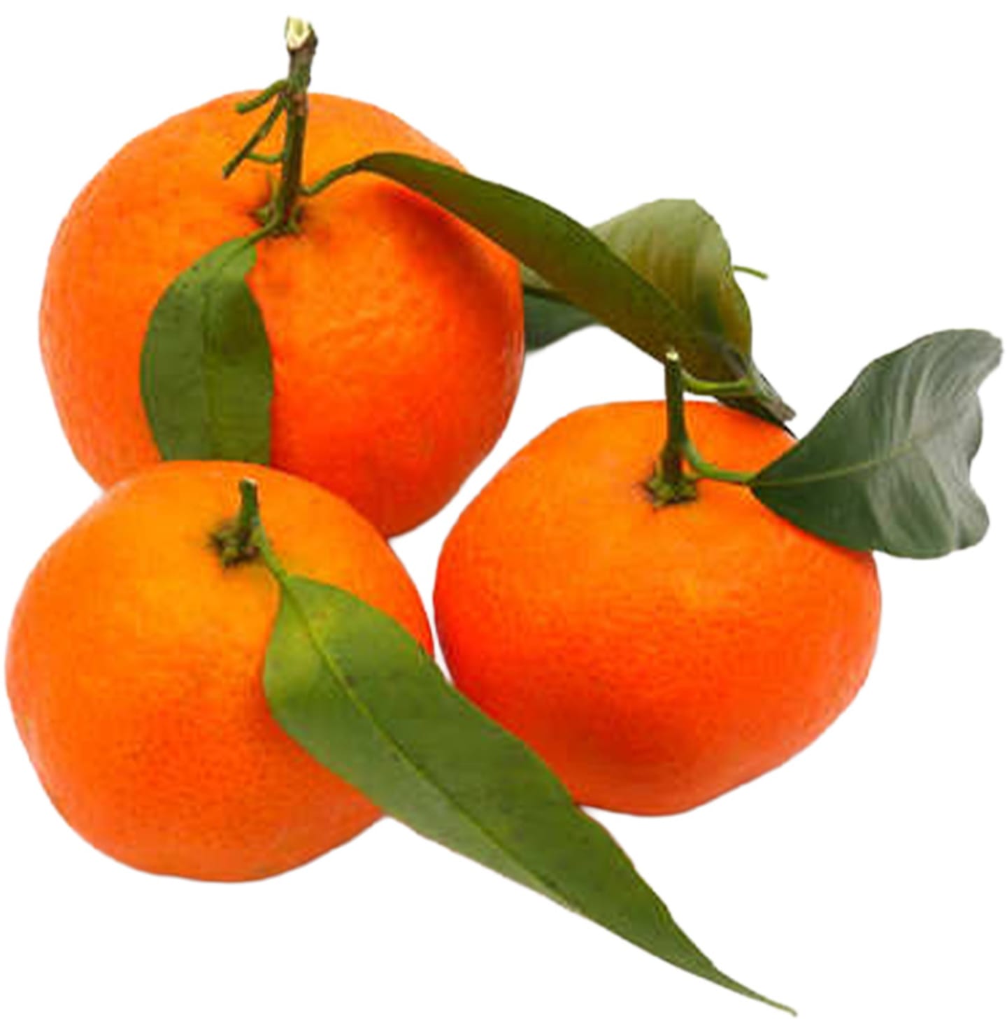 Clementin med blad 10kg
