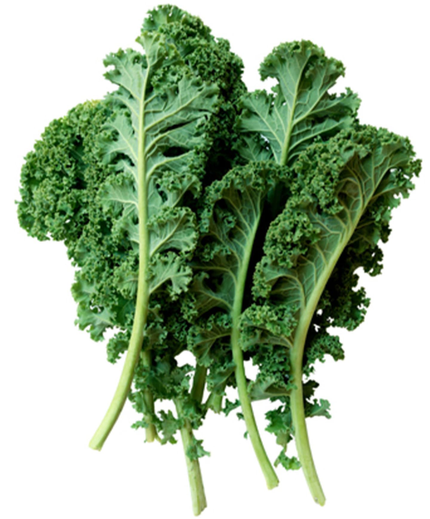 Grönkål repad 4kg SE