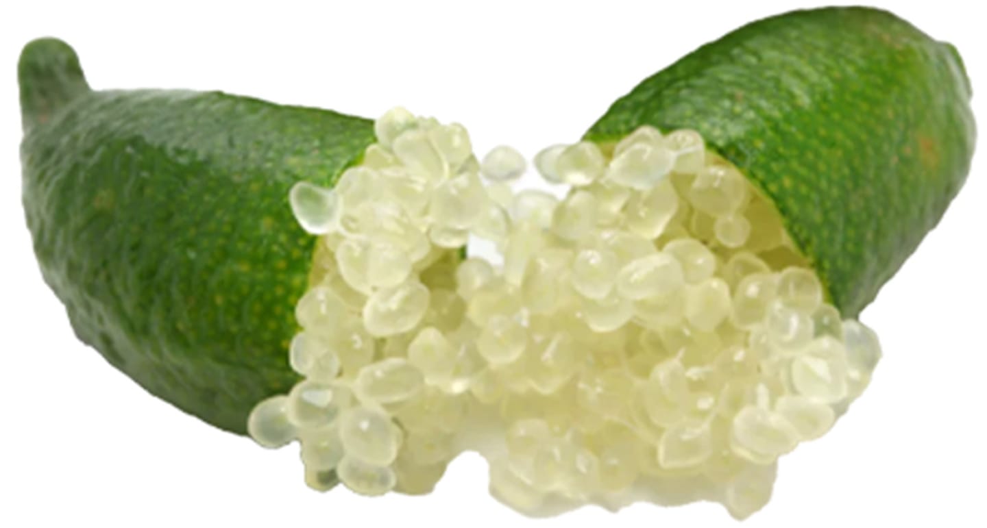 Fingerlime Bianca 1kg