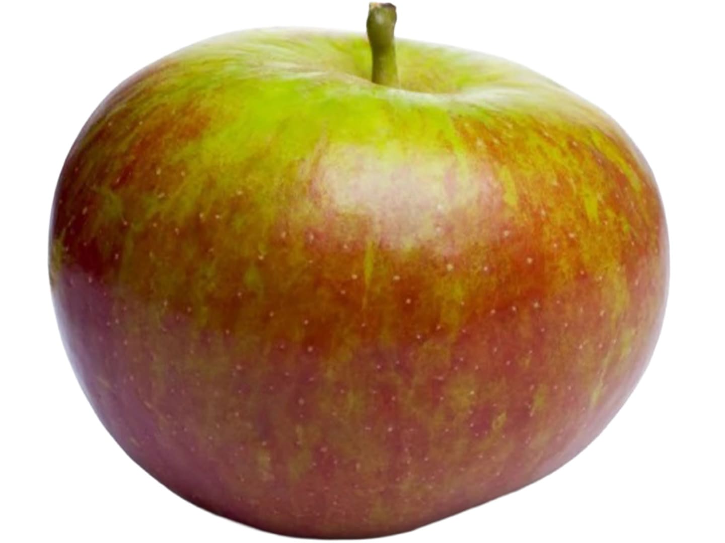 Äpple Cox Orange ca11kg SE