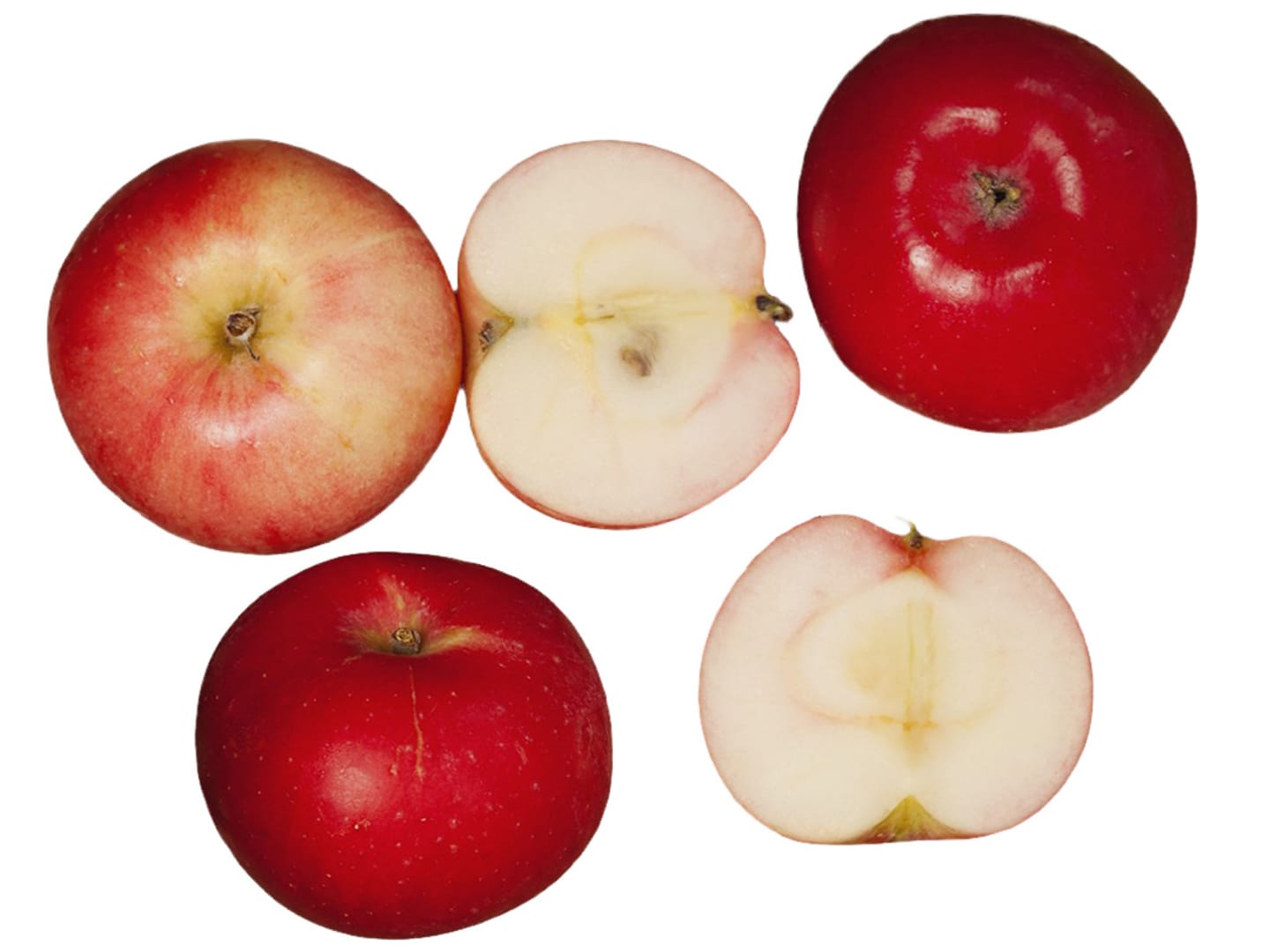 Äpple Discovery ca11kg SE